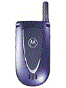 Best available price of Motorola V66i in Uae
